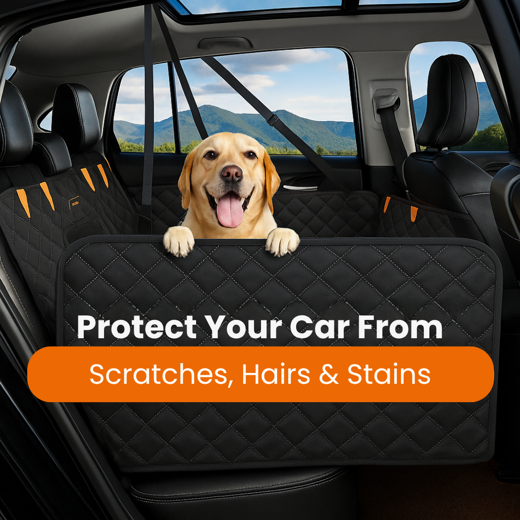 The Adventure Pup™ - Bring Your Dog Everywhere