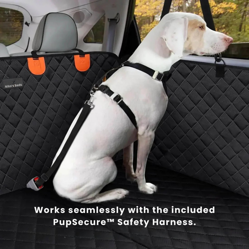 The Adventure Pup™ - Bring Your Dog Everywhere