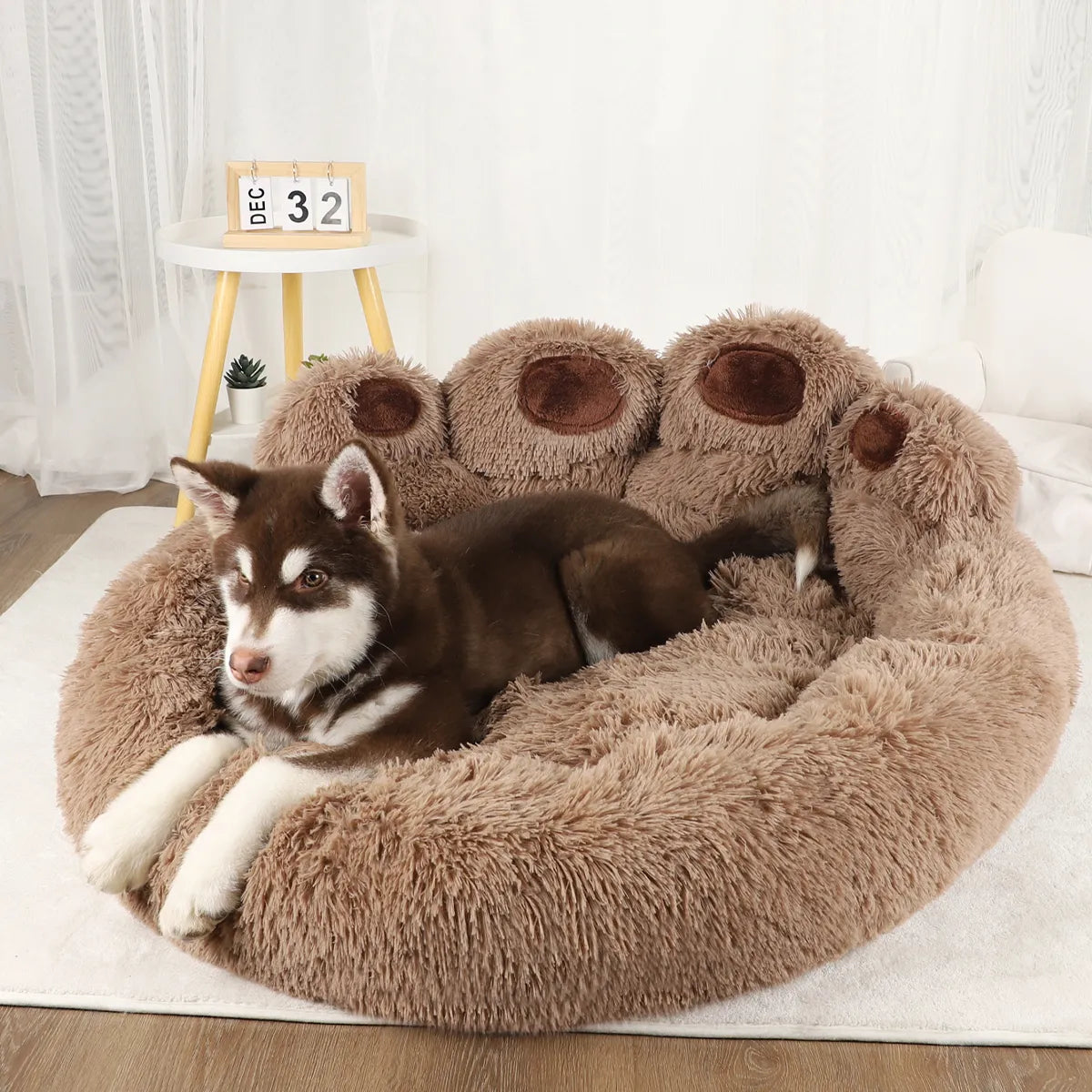 Niko's Paw Bed