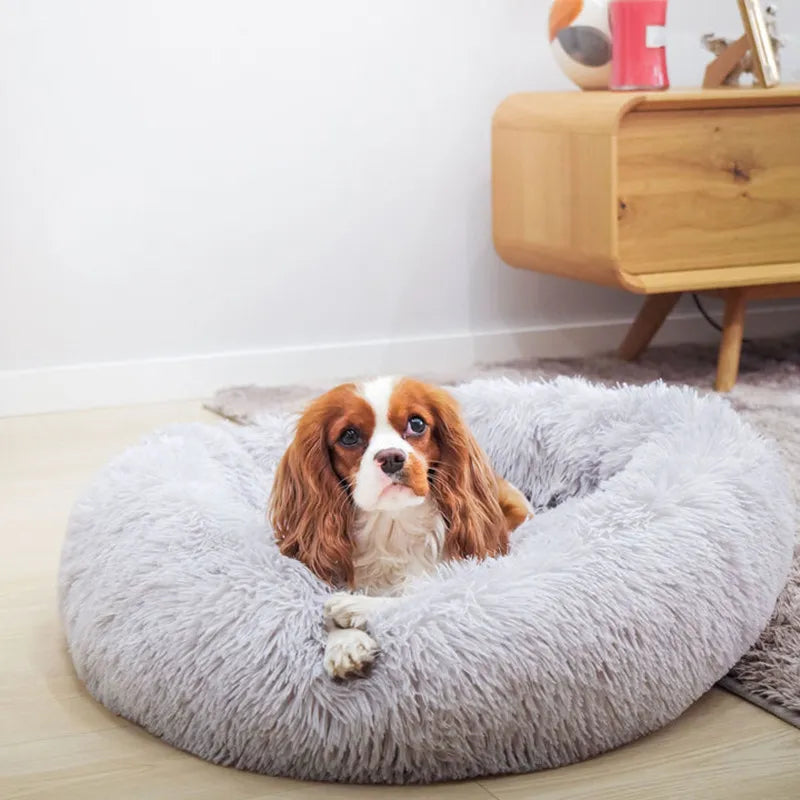 Niko's Pampered Donut Bed